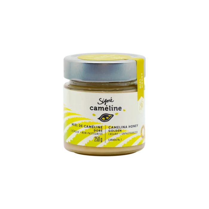 Miel de caméline crémeux