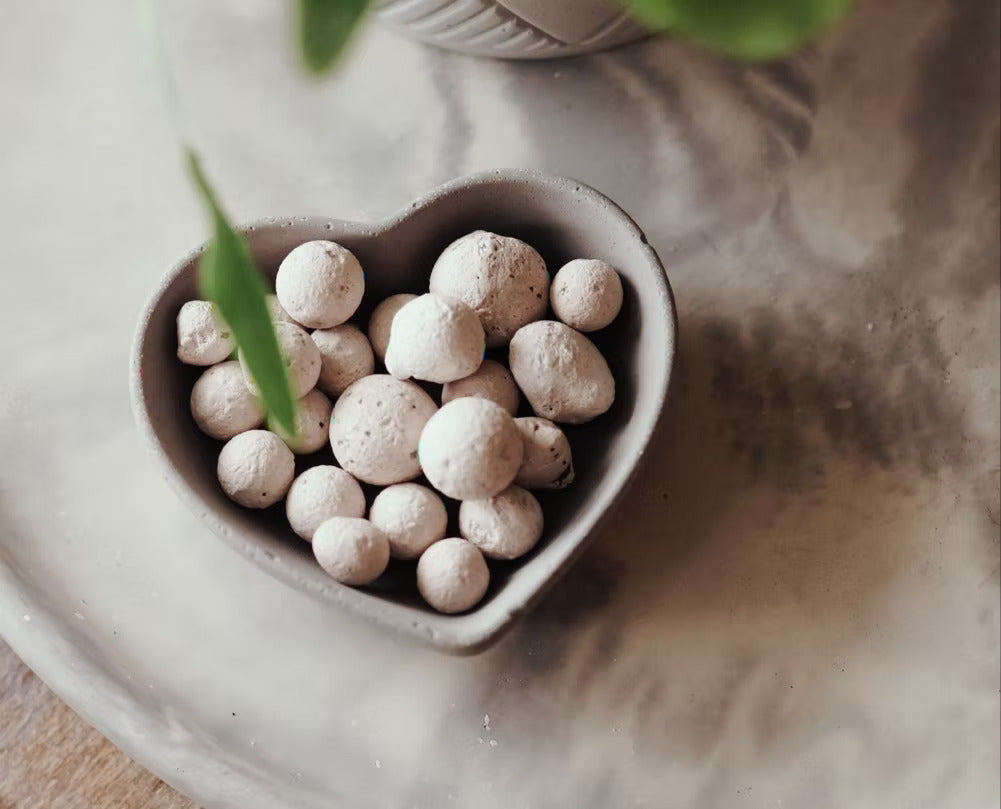 Plateau décoratif - Tête de chat | Choisissez votre couleur