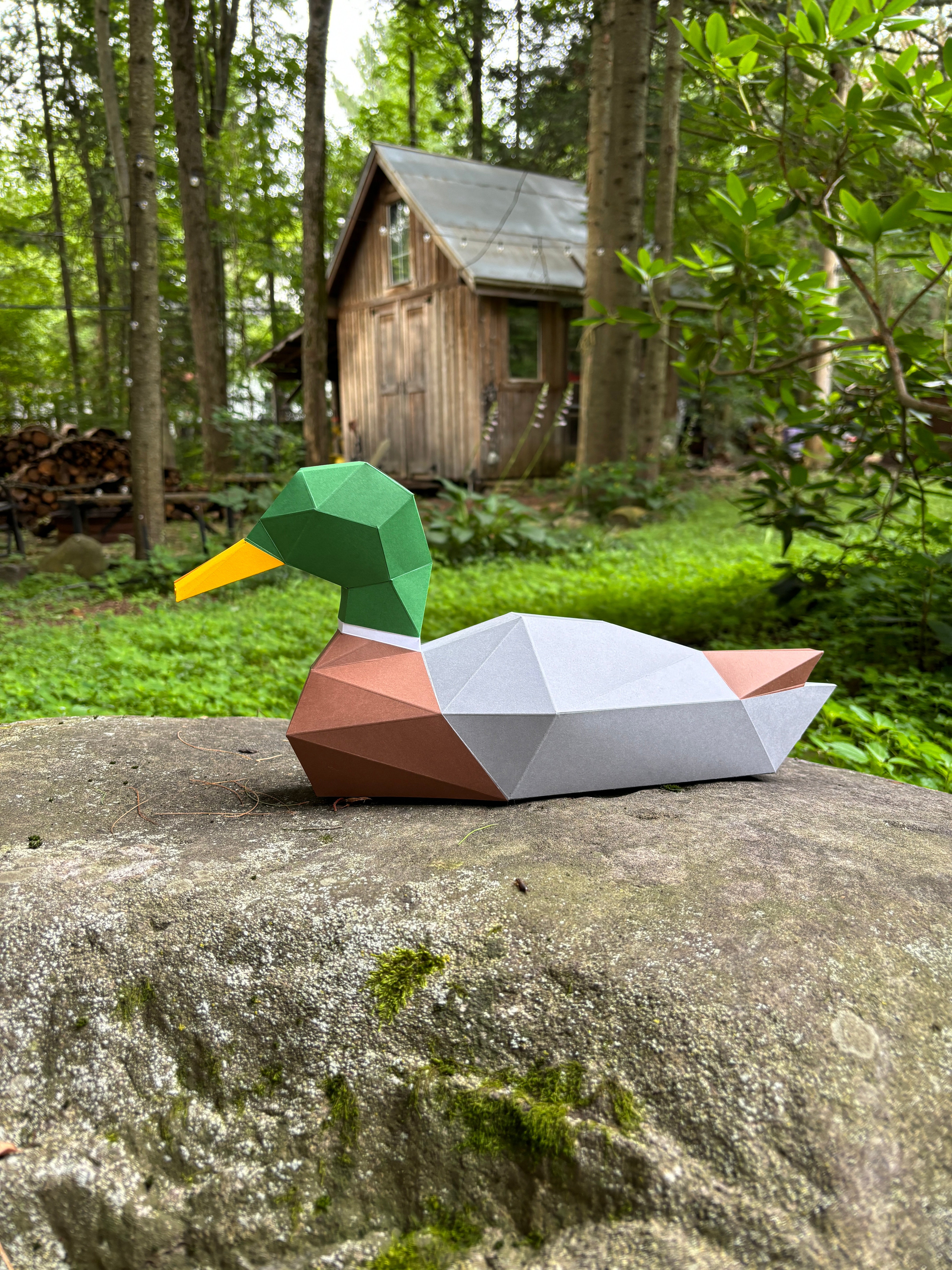 Kit à assembler - Canard