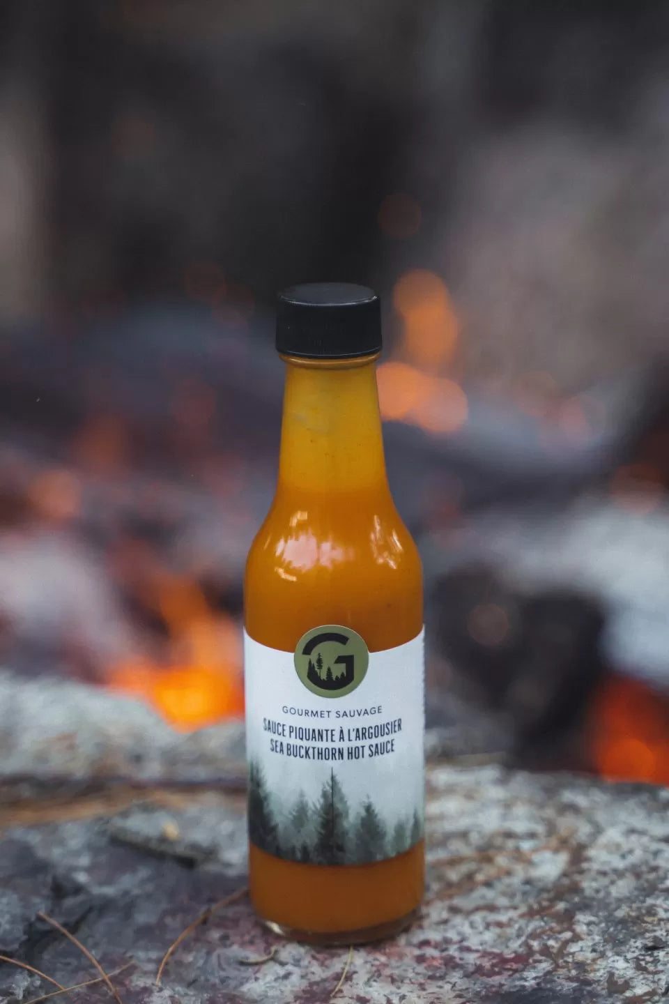 Sauce piquante à l'argousier