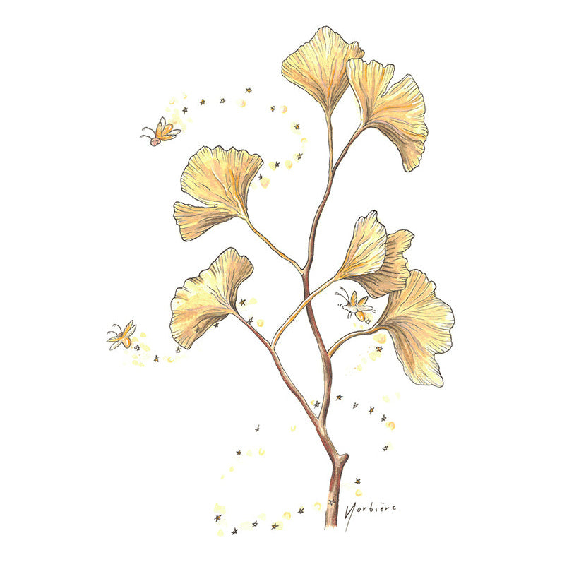 Carte de souhaits - Gingko little stars