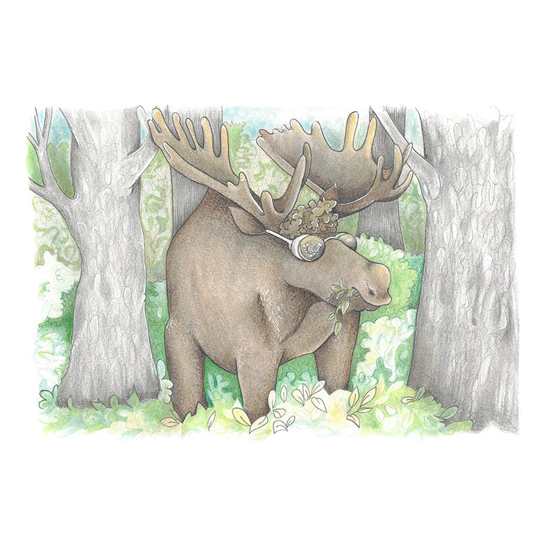 Nature Sauvage