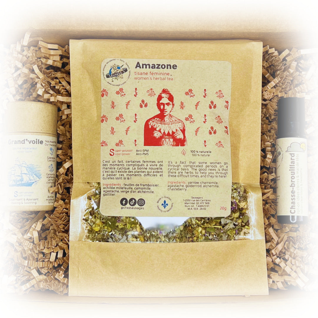 Trousse de Premiers Soins Naturels 🌿