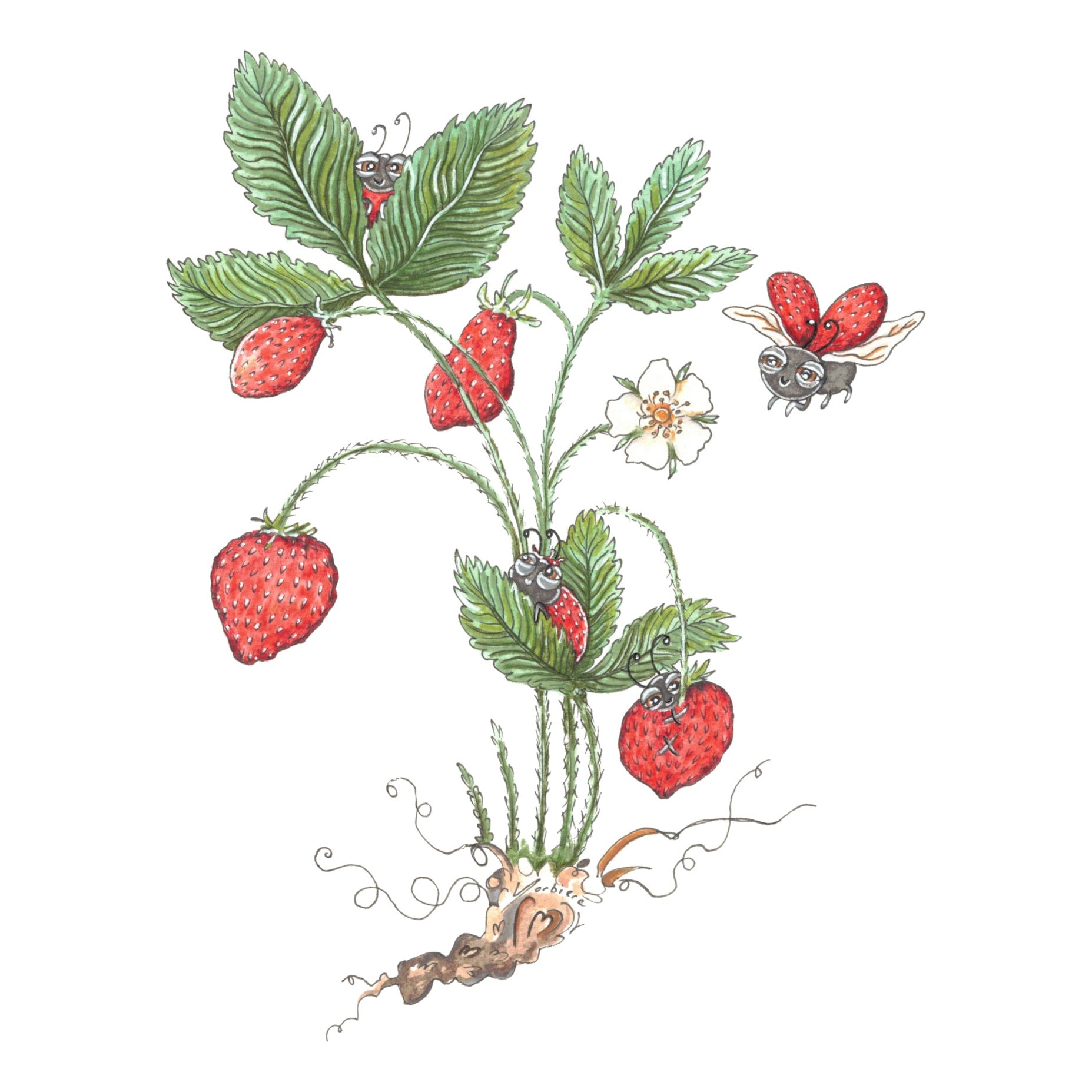 Carte de souhait - Il était une fraise