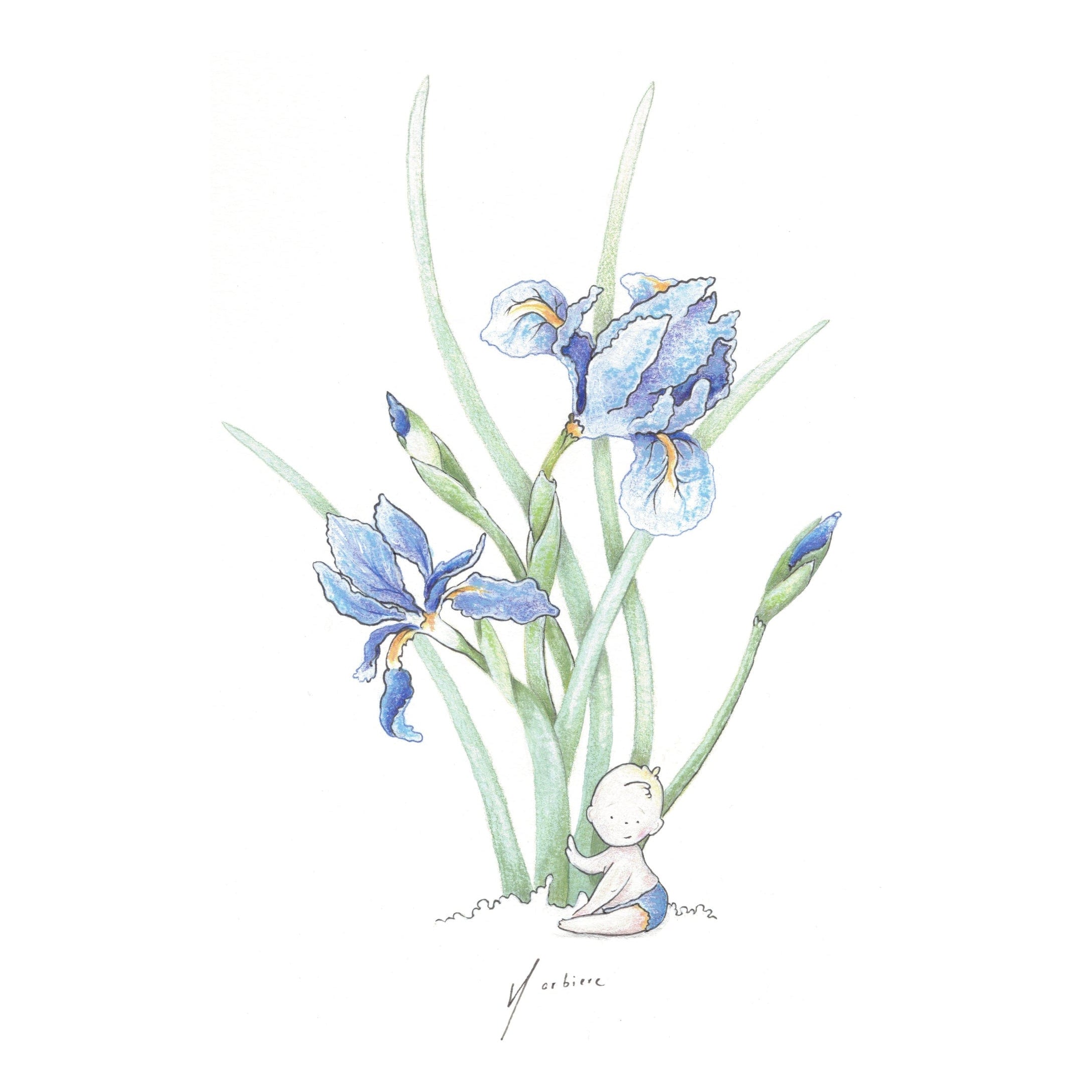 Carte de souhaits - Bébé iris