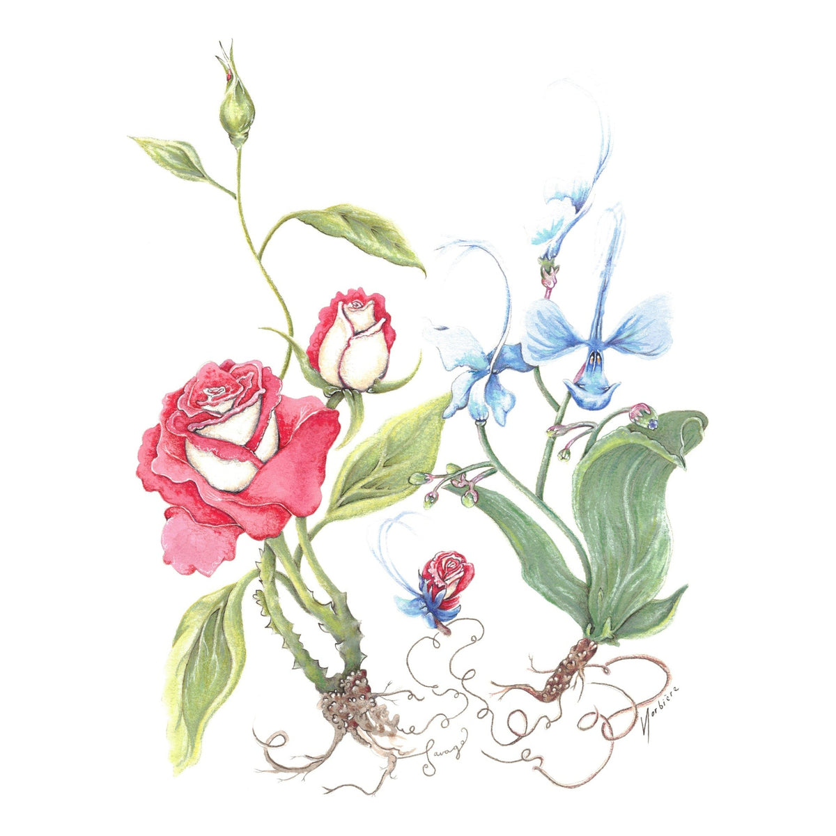 Carte de souhaits - Hold Dear Cultivar