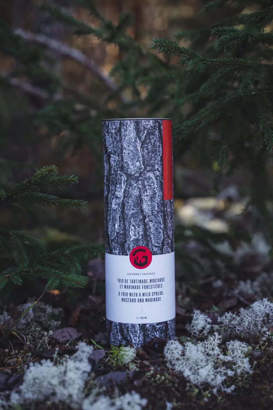 Trio de découvertes sauvages