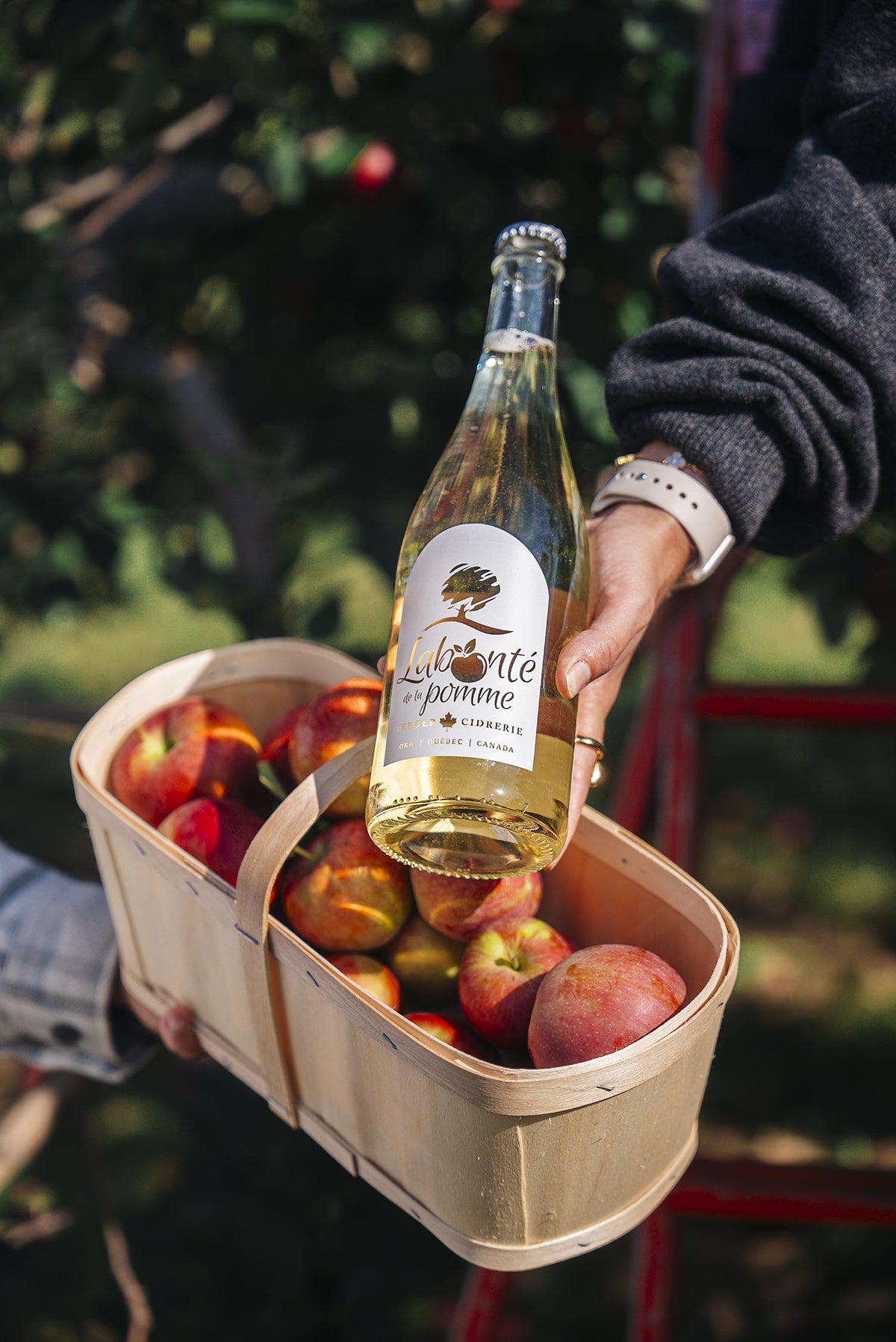 Pétillant Pomme et Rhubarbe