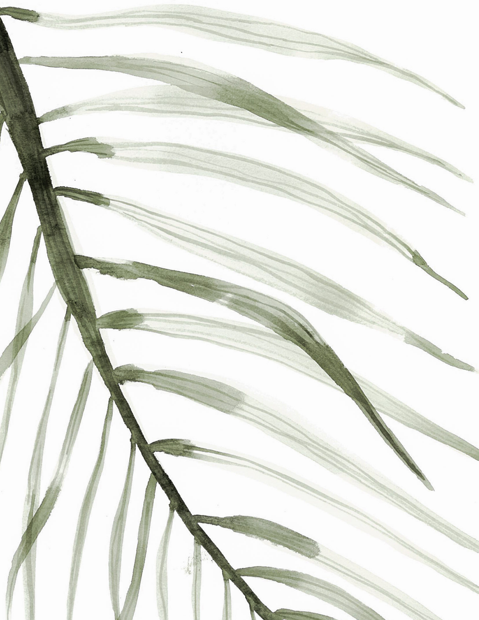 Illustration - Feuille palmier par Vingt-Six Juin vendu par SignéLocal.com