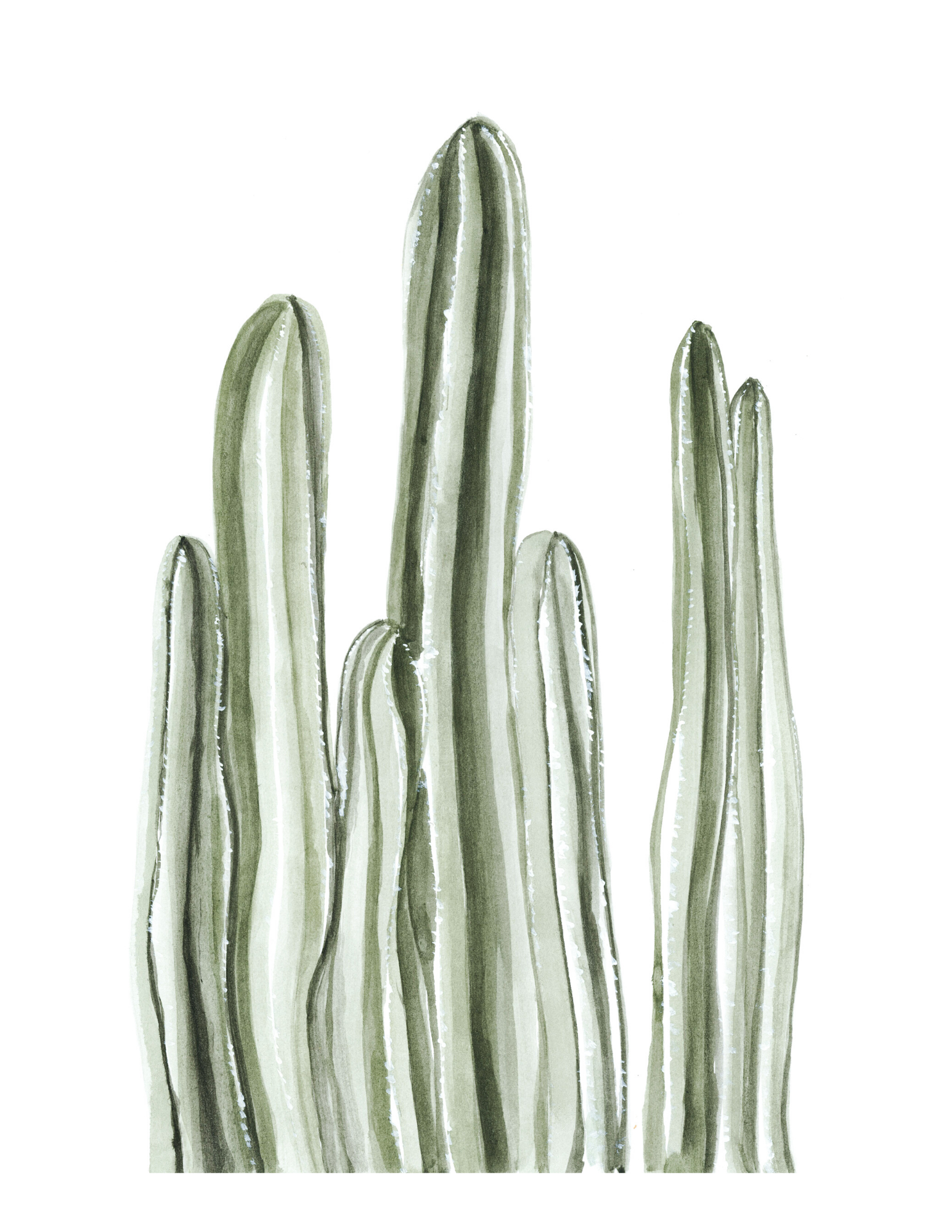 Illustration - Cactus long par Vingt-Six Juin vendu par SignéLocal.com
