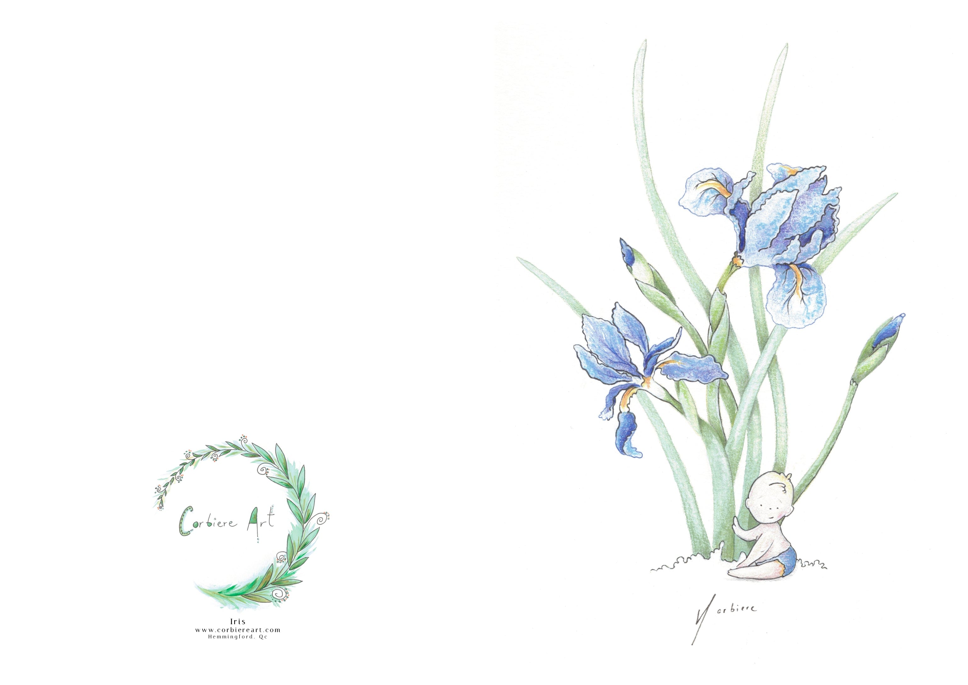Carte de souhaits - Bébé iris