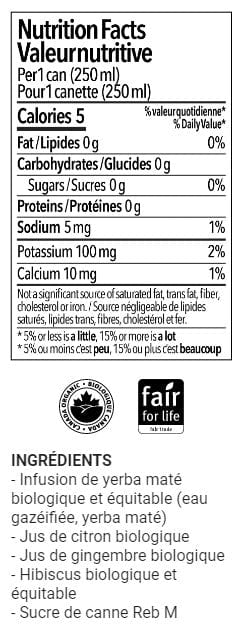 Boisson d'infusion énergisante Yerba Maté - Gingembre (Zéro sucre)