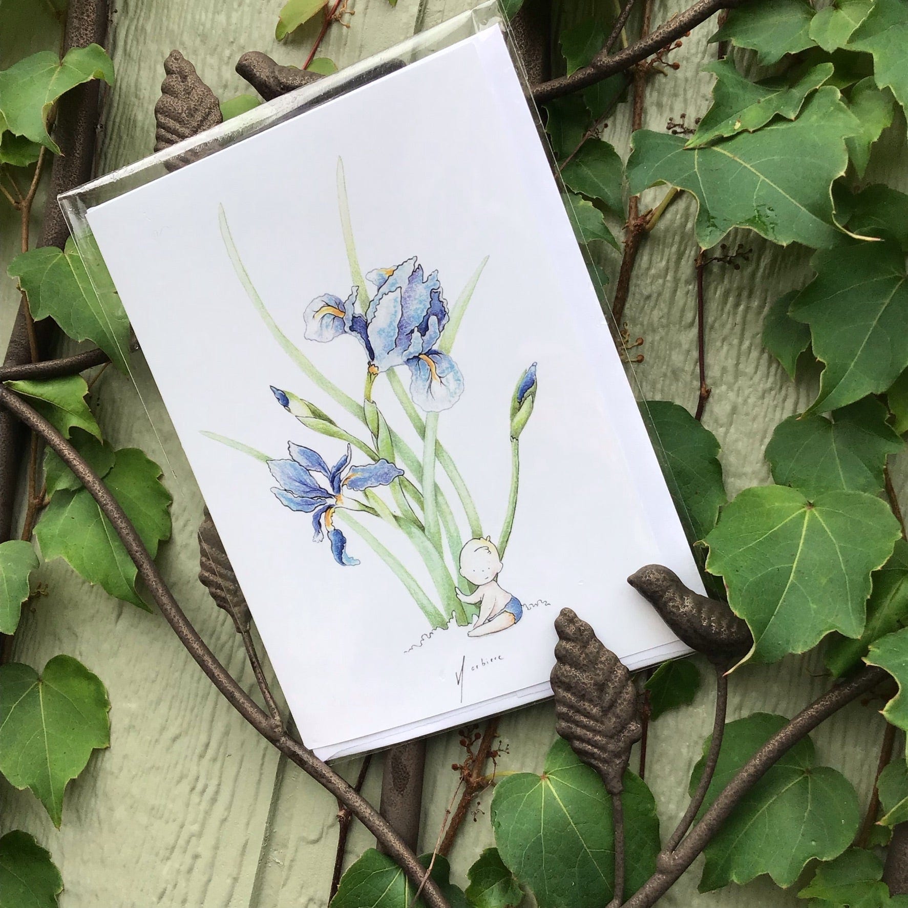 Carte de souhaits - Bébé iris