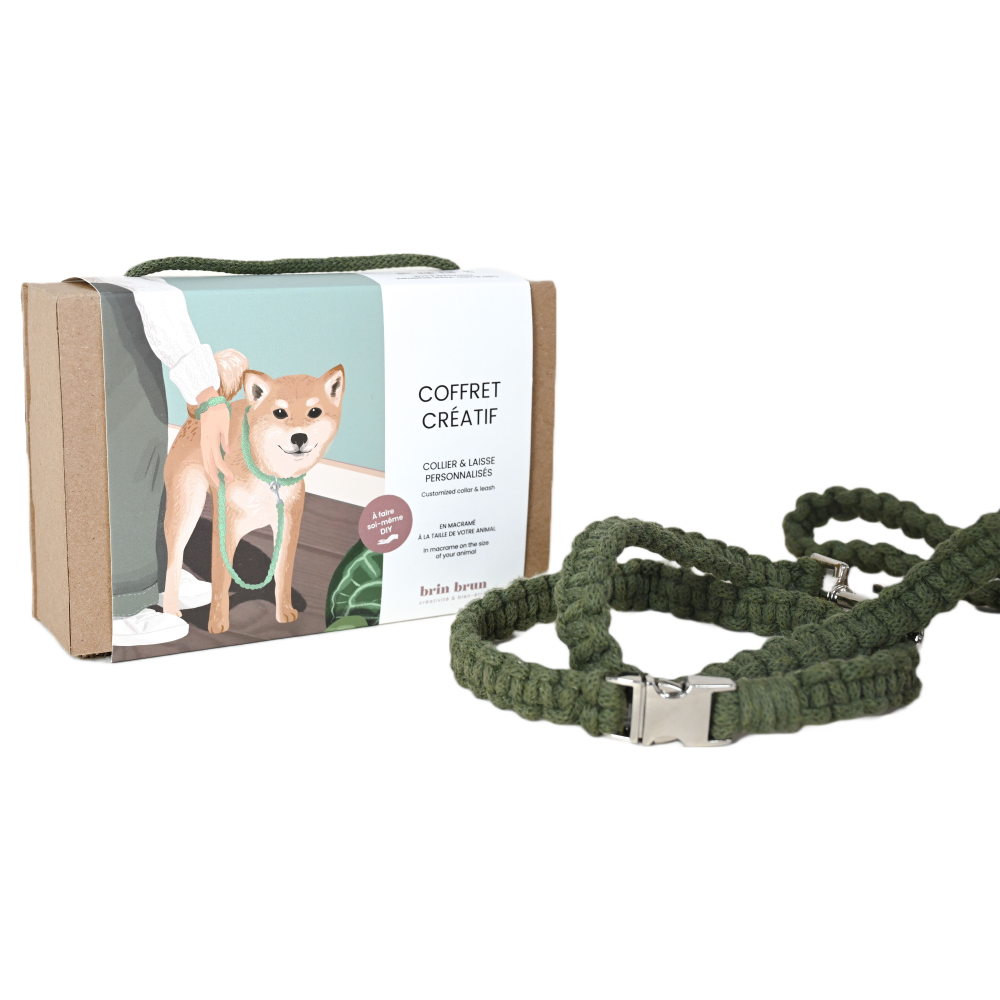 Dog leash and collar making set - Macramé