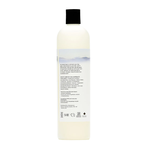 Odorless daily shampoo