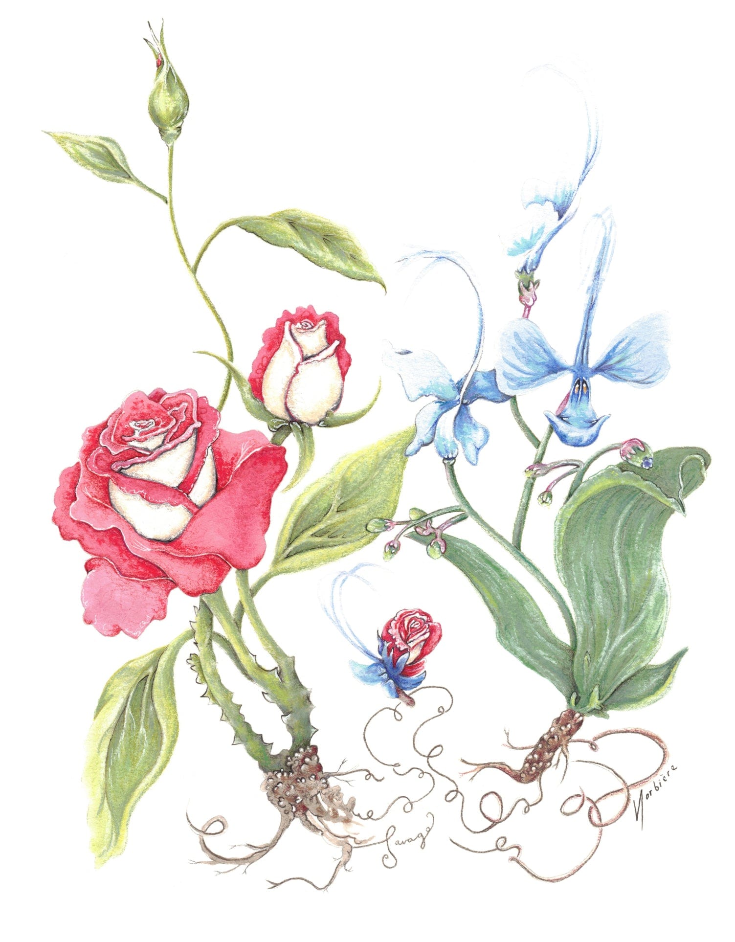 Carte de souhaits - Hold Dear Cultivar