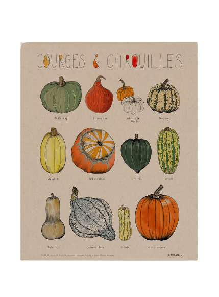 Affiche 11x14 - Courges & citrouilles