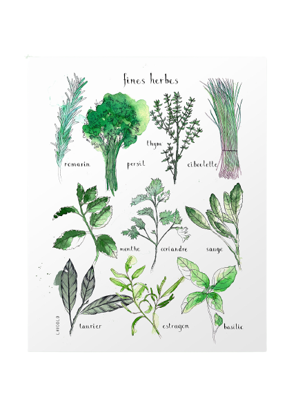 Affiche 11x14 - Fines herbes