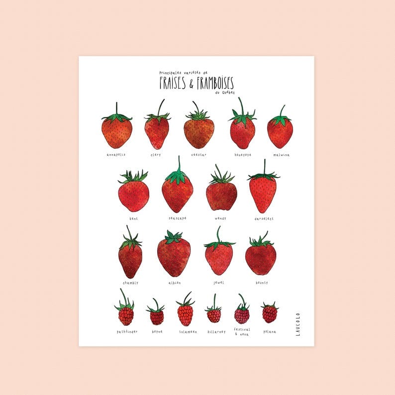 Affiche - Variétés de fraises et de framboises par Laucolo vendu par SignéLocal.com