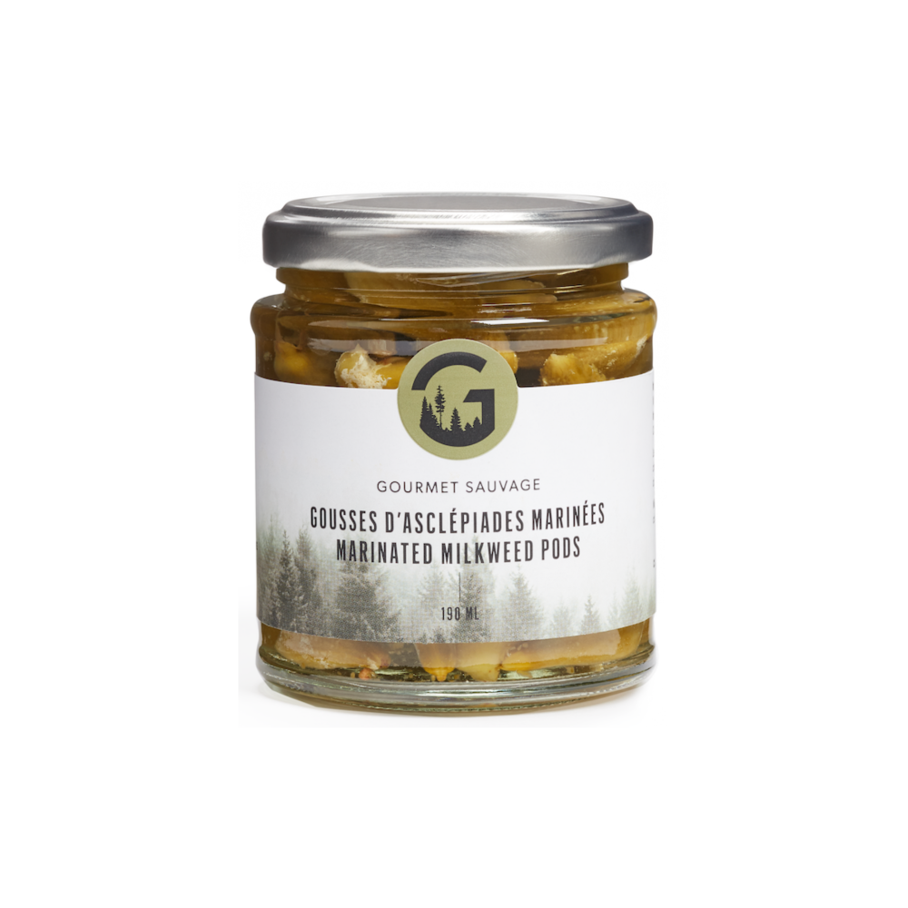 Gousses d'asclépiades marinées