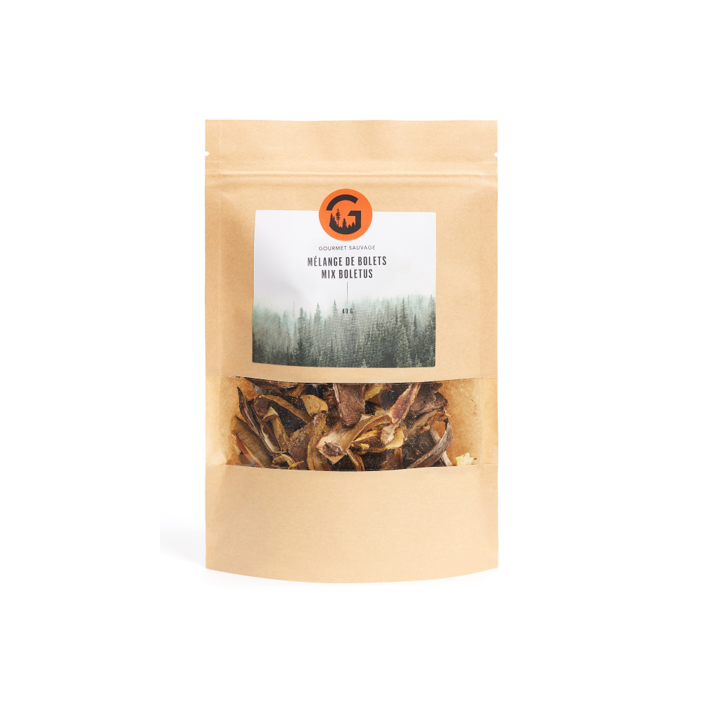 Mélange de champignons bolets