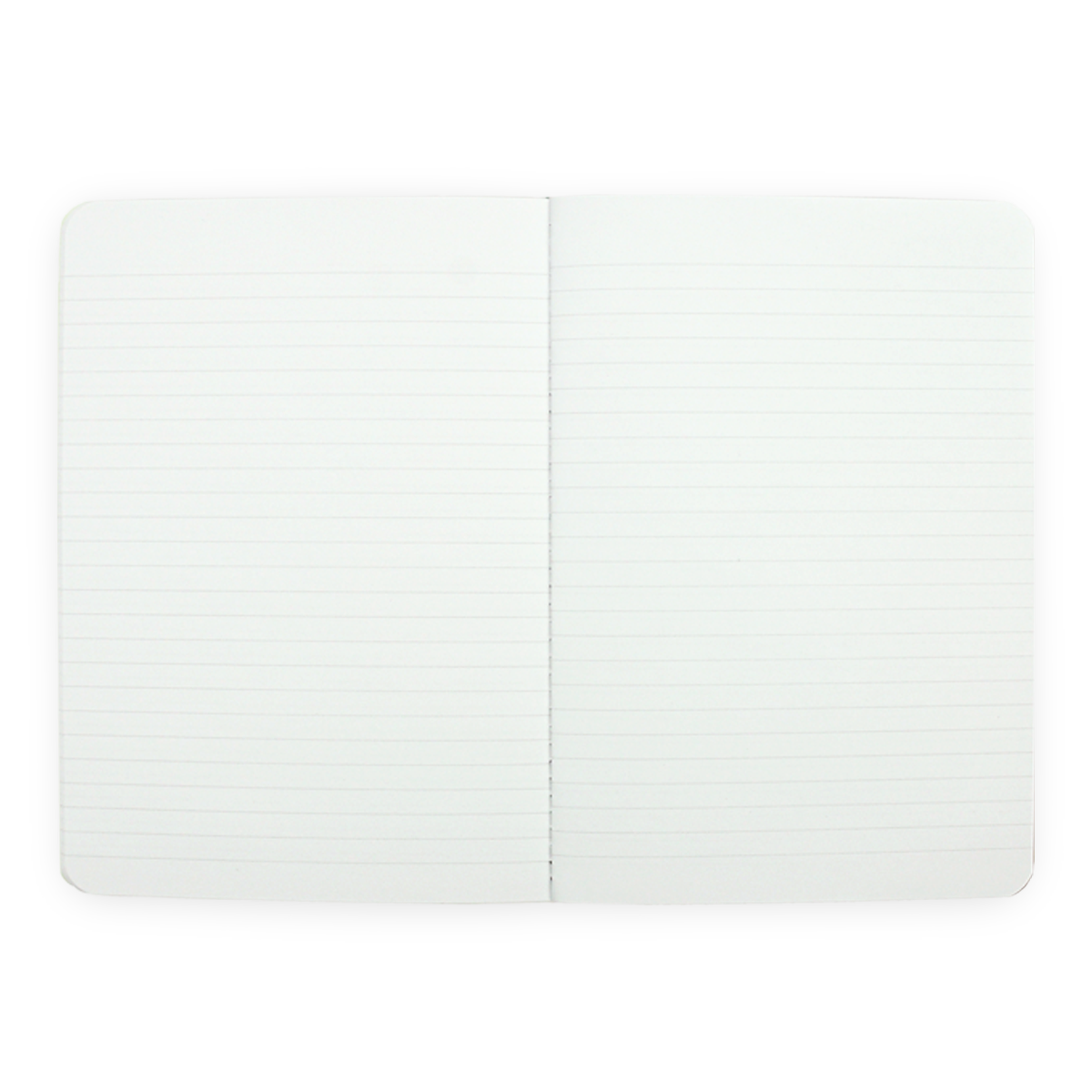 Notebook - Scriptus