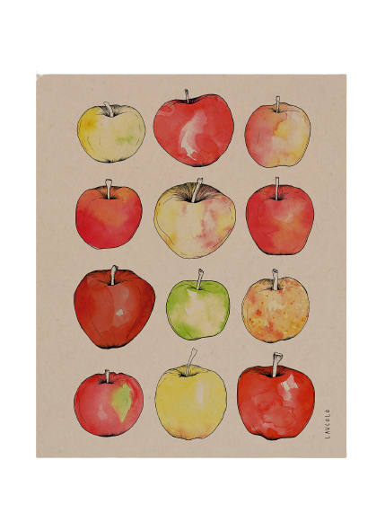Affiche 11x14 - Pommes